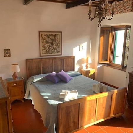 Palazzetto In Centro Villa Pieve Fosciana Bagian luar foto